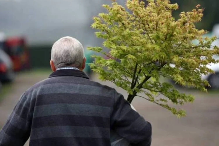 
	Homem carregando uma muda de &aacute;rvore:&nbsp;secret&aacute;rio estadual do Ambiente, Carlos Minc,&nbsp;acrescentou que at&eacute; o momento cerca de 5,5 milh&otilde;es de &aacute;rvores j&aacute; foram plantadas no estado
 (Getty Images)