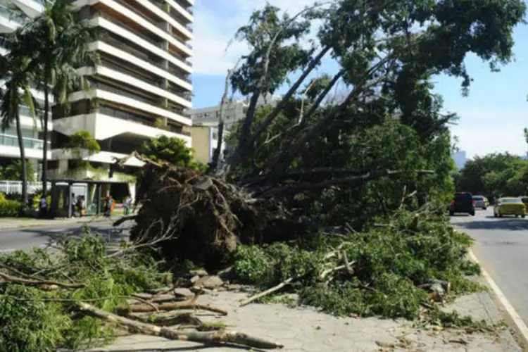Árvore caída em avenida do Rio de Janeiro, após ventania (Tomaz Silva/ABr)