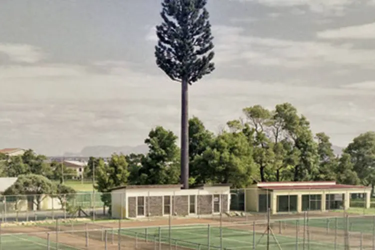 Torre de telecomunicação disfarçada de árvore, da série série “Invasive Species” de Dillon Marsh (Divulgação)