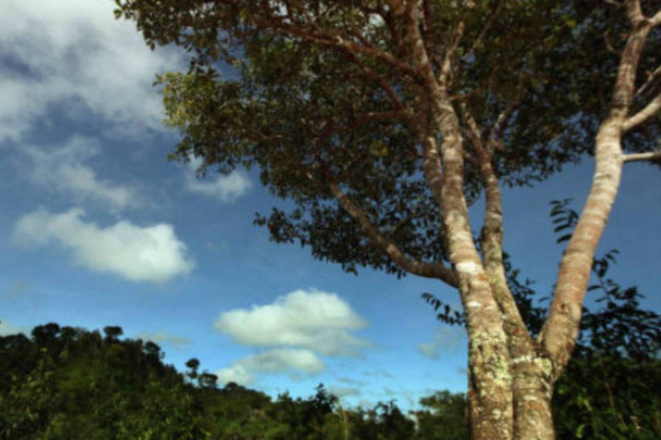 Rio faz acordo para reforçar proteção de reserva biológica