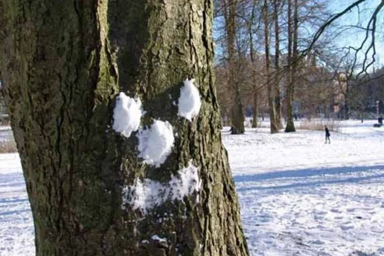 
	Batalh&atilde;o verde: tronco de &aacute;rvore com olhos, bocas e nariz feitos de neve
 (Getty Images)
