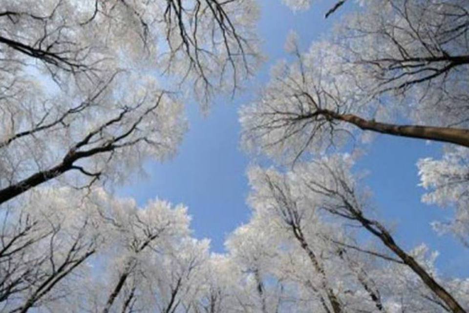 Onda de frio atinge França e deixa mais de 30 mil casas sem luz