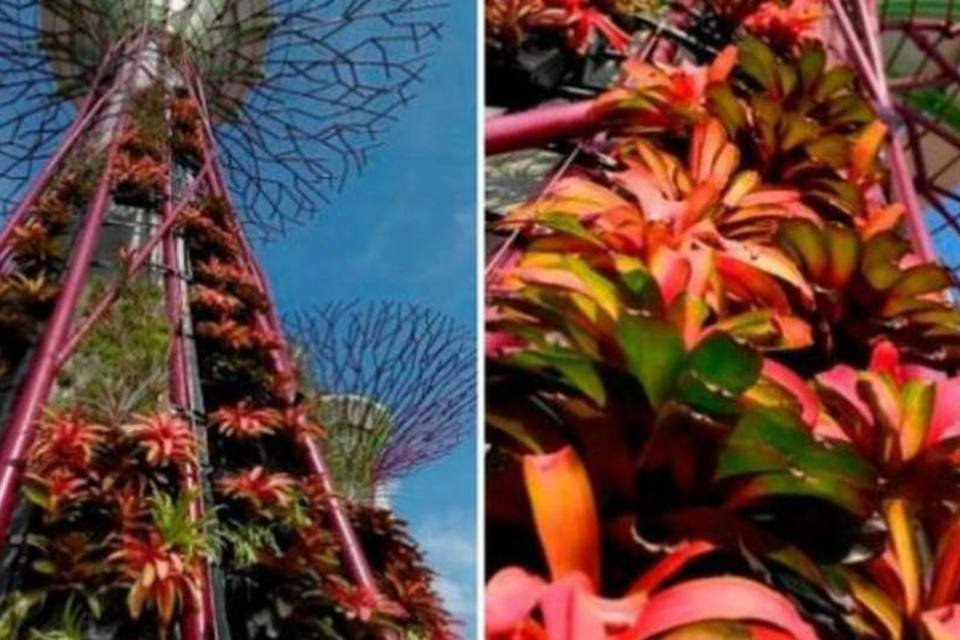 Árvores solares artificiais nascem nos jardins da Baía de Cingapura