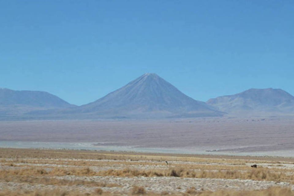 Deserto mais árido do mundo, Atacama floresce