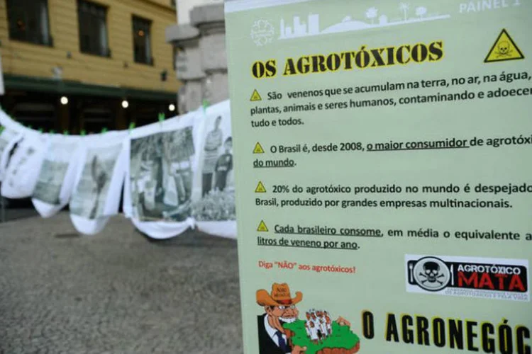 Ativistas participam de ato no Dia Internacional de Luta contra os Agrotóxicos (Fernando Frazão/ABr)