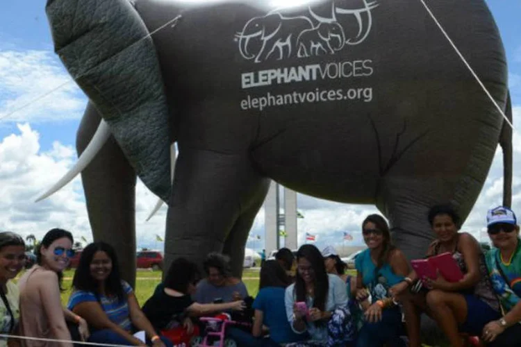 
	Ativistas protestam em Bras&iacute;lia: a coordena&ccedil;&atilde;o do movimento espera mobilizar mais de mil pessoas at&eacute; quinta-feira em Bras&iacute;lia (Agência Brasil)