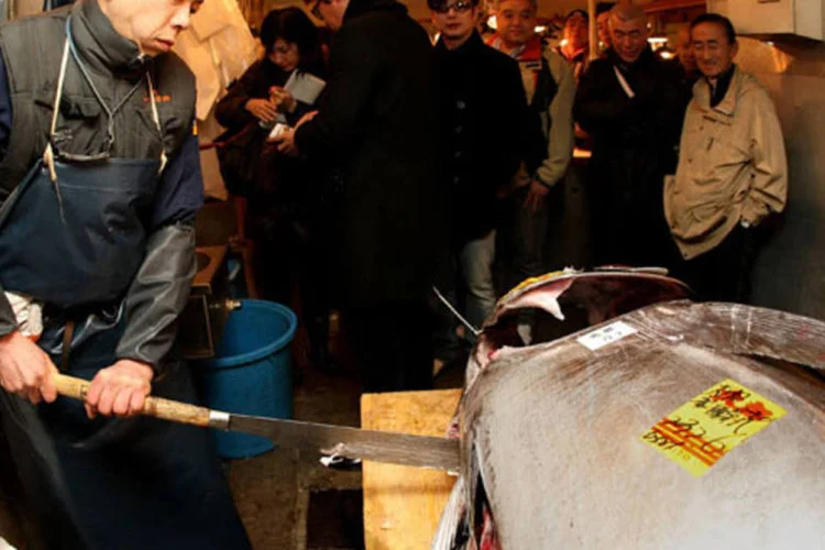 Vendedor corta um atum de 230 kg no mercado de peixes, em Tóquio. Segundo a WWF, se a pesca continuar no ritmo atual, espécie estaria "funcionalmente extinta" em três anos. (Koichi Kamoshida/ Getty Images)
