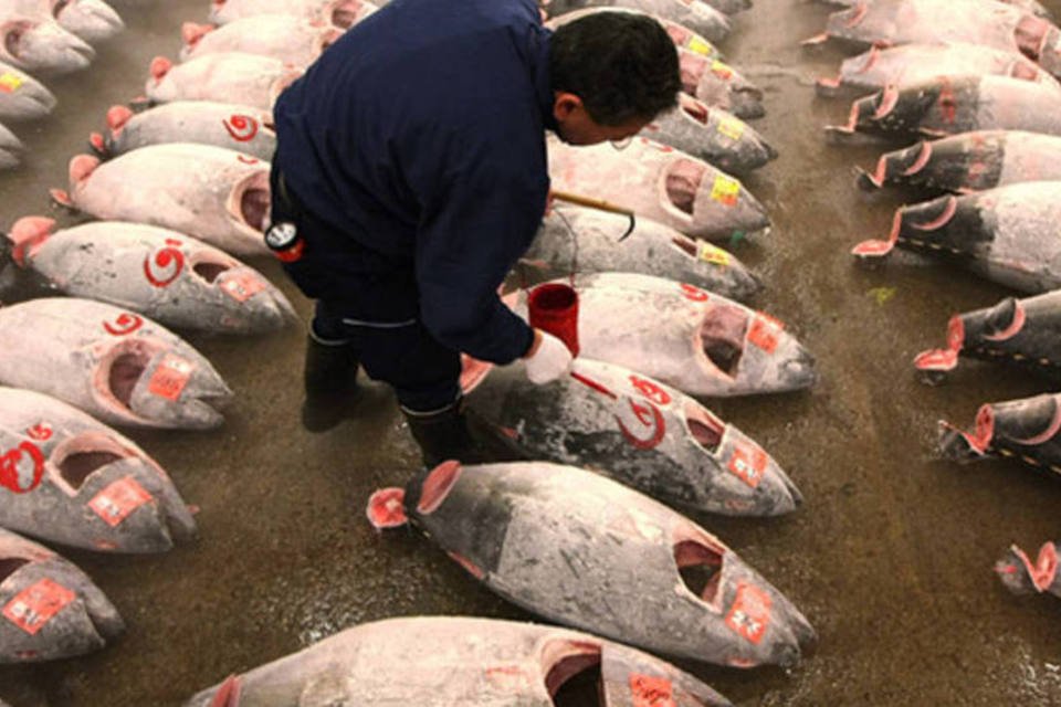 Uma sobrevida para o sushi?