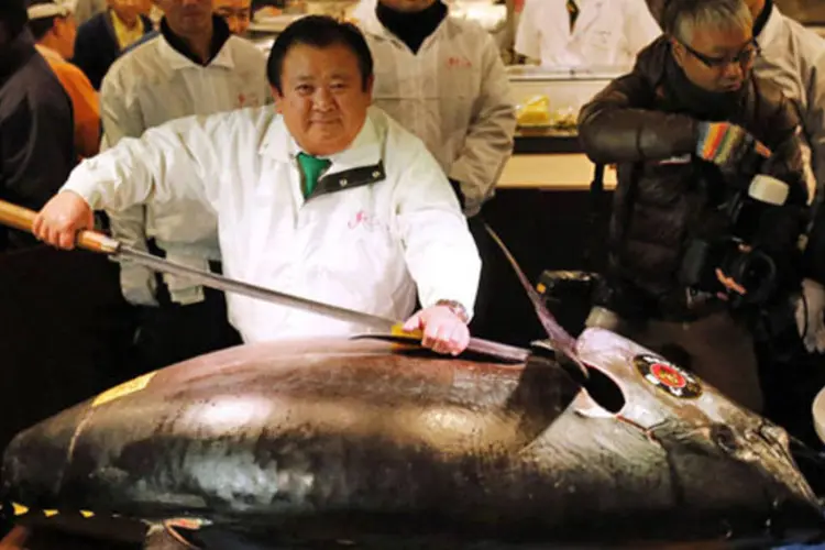 
	Atum-rabilho ou atum de barbatana azul, em risco de extin&ccedil;&atilde;o: entre as sete principais esp&eacute;cies de atum analisadas pelo documento, 33,3% sofreu sobrepesca
 (REUTERS)