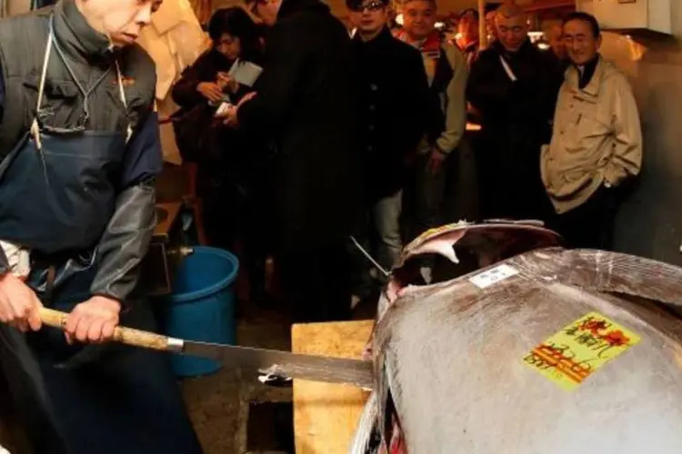 Leilão de atum em 2010: O comprador do atum neste ano foi o distribuidor de pescados para a cadeia de restaurantes de sushi Kiyomura (Koichi Kamoshida/Getty Images)