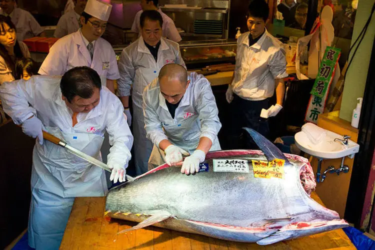 
	Kiyoshi Kimura, dono de uma conhecida rede de restaurantes de sushi, corta atum
 (REUTERS/Thomas Peter)
