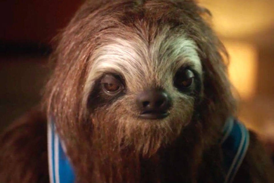 Comercial contra a maconha usa bicho-preguiça como metáfora