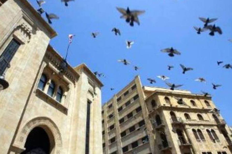 Ondas de rádio afetam aves migratórias, alerta estudo