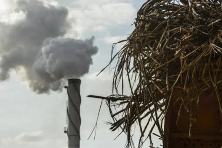 Usina de processamento de cana-de-açúcar na Unidade Industrial Cruz Alta da Guarani, próximo de São José do Rio Preto (Paulo Fridman/Bloomberg)