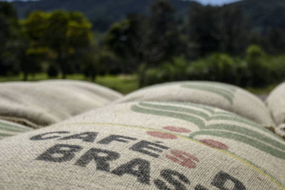 Governo estabelece regras para leilões de café