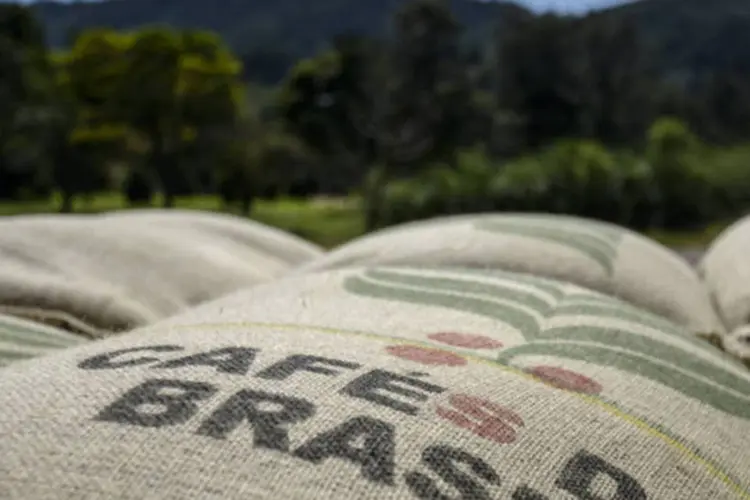 Sacas de café: até a semana anterior, os cooperados tinham colhido 63,2% do total (Paulo Fridman/Bloomberg)