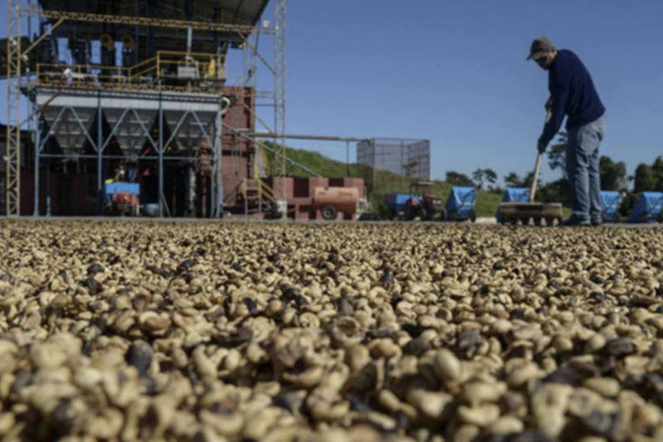 Áreas de café do Brasil devem ter clima quente e seco