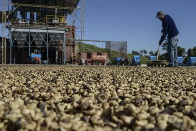 
	Homem trabalha na secagem de caf&eacute; na fazenda Boa Esperan&ccedil;a, pr&oacute;ximo de Bragan&ccedil;a Paulista
 (Paulo Fridman/Bloomberg)