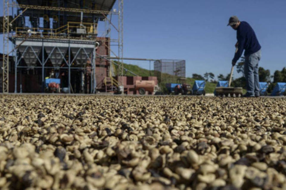 Cafeicultores evitam investir mesmo com disparada nos preços