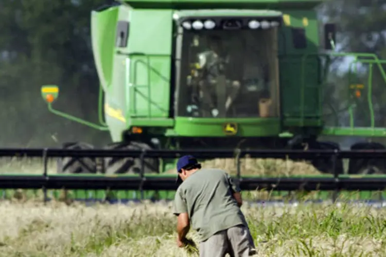 Fazendeiros trabalhando na colheita de trigo em uma fazenda próxima da cidade de Santo, na Argentina (Diego Giudice/Bloomberg News)