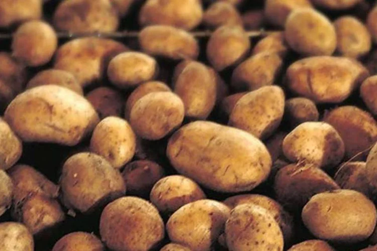 Batata-inglesa (Wikimedia Commons)