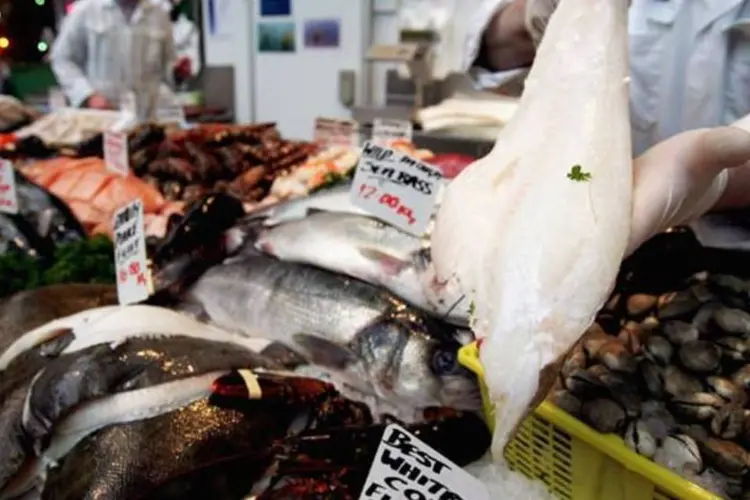 
	Bacalhau: peixe &eacute; aposta da Sadia para aumentar as vendas da BRF em 10% nesse fim de ano
 (Getty Images)