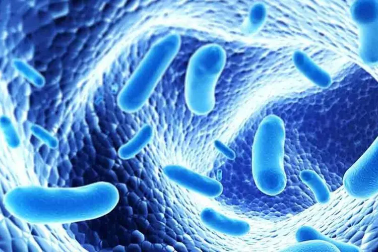 Bactérias: autores explicaram que existem micróbios que sobrevivem na presença de antibióticos, por exemplo os que habitam em solo contaminado (Thinkstock/Thinkstock)