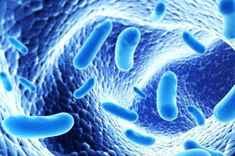 
	Superbact&eacute;rias: &quot;Estamos perdendo nossa capacidade de proteger tanto os humanos como os animais de infec&ccedil;&otilde;es mortais&quot;
 (Thinkstock/Thinkstock)