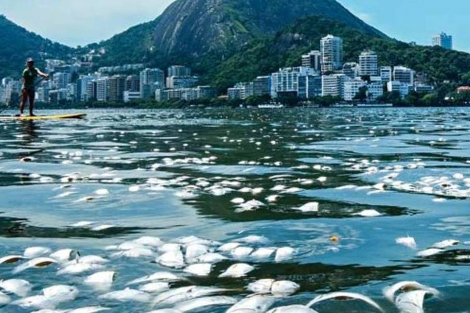 Baía de Guanabara continua poluída um ano após Olimpíada