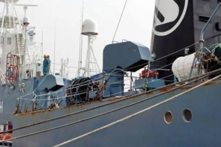
	Navio baleeiro Yushim Maru ancorado no porto Shimonoseki, no Jap&atilde;o: o avio do Sea Shepherd tenta evitar a ca&ccedil;a de baleias no continente gelado
 (AFP/Jiji Press/Arquivo)