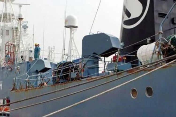
	Navio baleeiro Yushim Maru ancorado no porto Shimonoseki, no Jap&atilde;o: o avio do Sea Shepherd tenta evitar a ca&ccedil;a de baleias no continente gelado
 (AFP/Jiji Press/Arquivo)