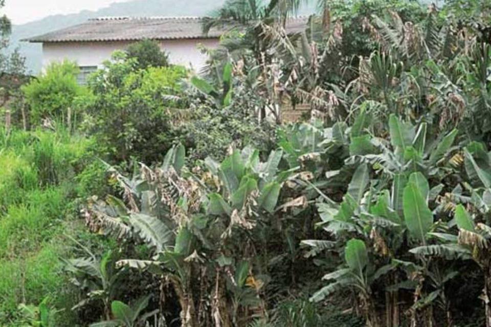 Cetesb investiga mancha em Rio Ribeira de Iguape