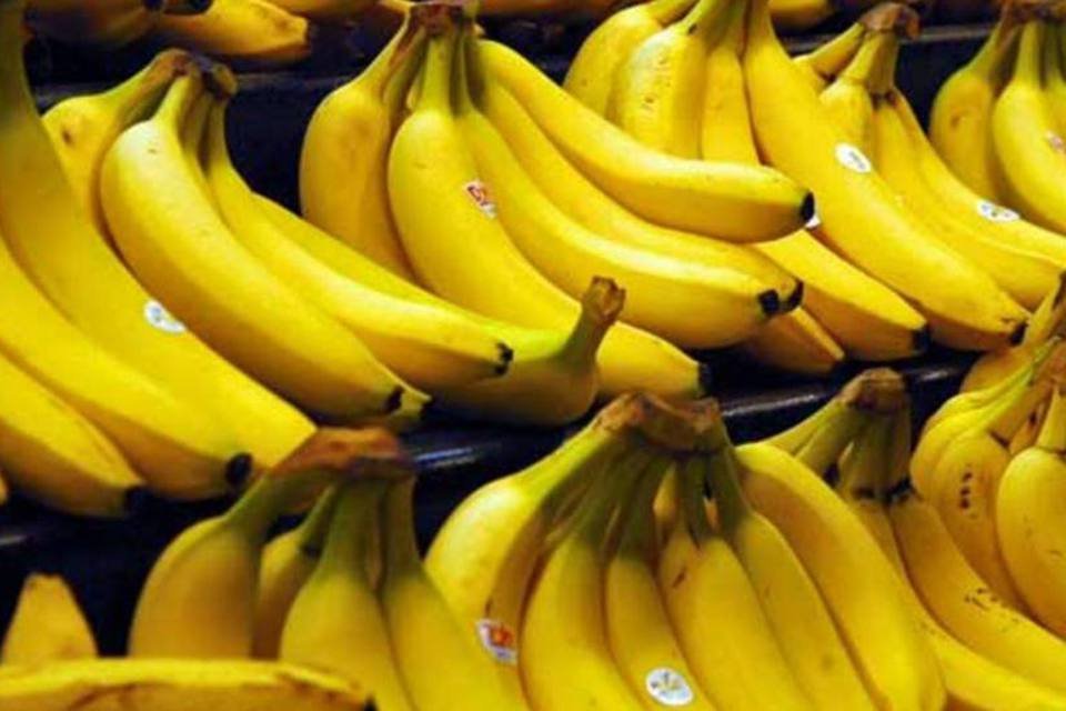 
	Ja&iacute;ba est&aacute; entre os maiores produtores de banana do Brasil
 (Wikimedia Commons)