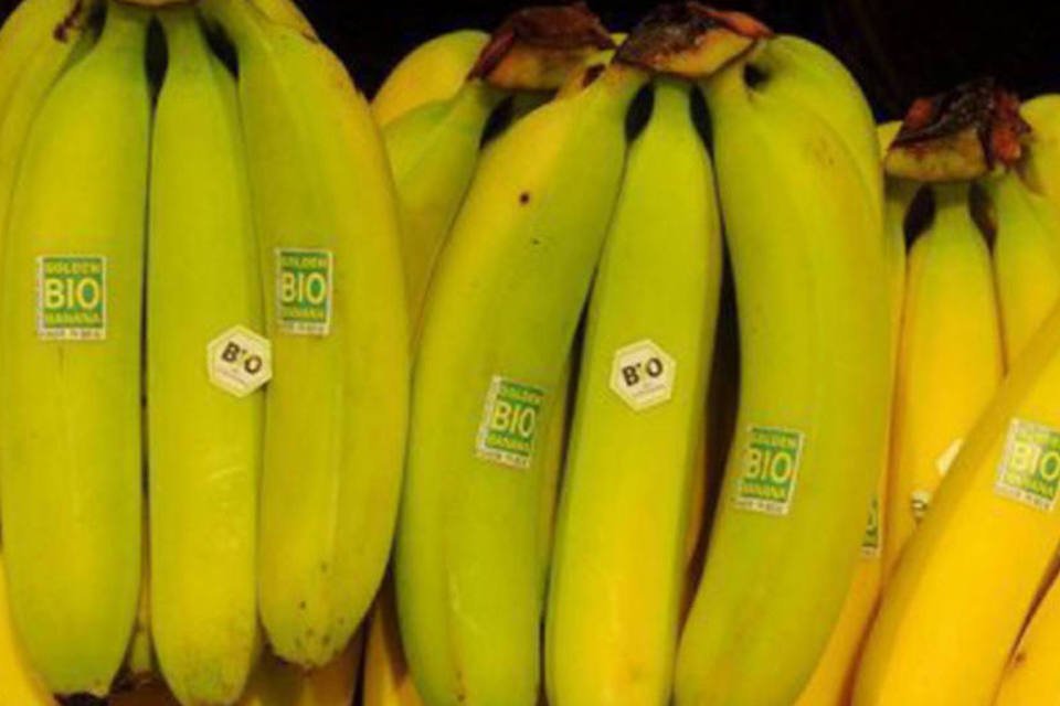 Pesquisadores sequenciam genoma da banana