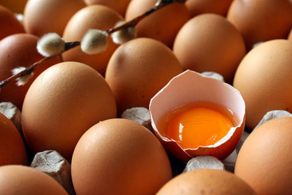 Japão abre mercado para ovos do Brasil