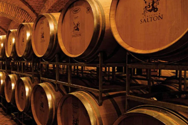 Em 2021, as vinícolas brasileiras exportaram mais de 12 milhões de litros de vinhos, espumantes e suco de uva (Marcelo Curia/Abril)