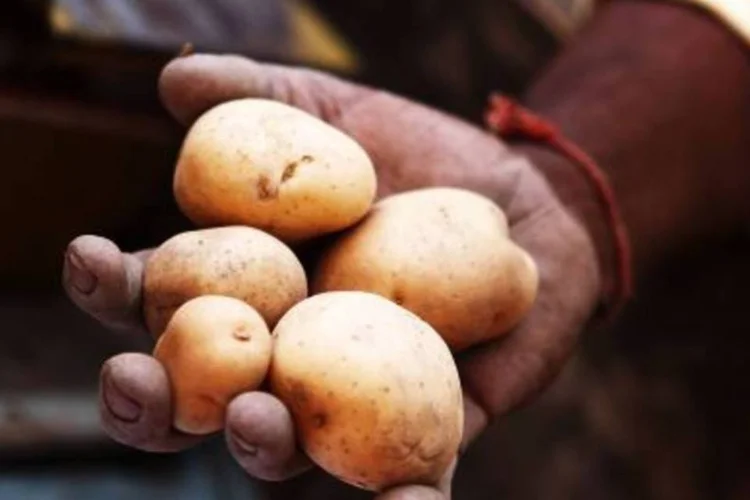 Desafio do projeto é conseguir produzir produto em larga escala. Indústria de plásticos é inexistente no Peru.  (.)
