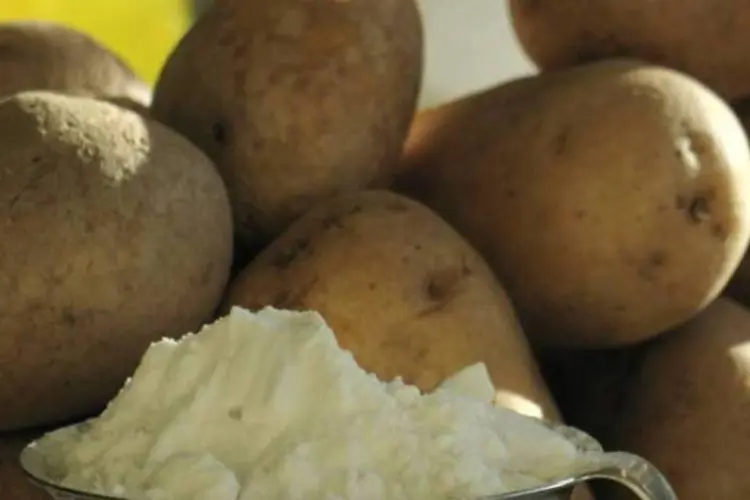 A UE liberou a plantação de batatas transgênicas em março de 2010 (Jon Pallbo/Wikimedia Commons)
