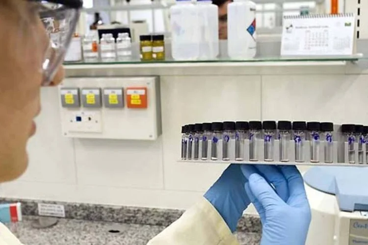 Bayer: vendas da companhia no Brasil atingiram R$ 3,9 bilhões em 2010 (Divulgação)