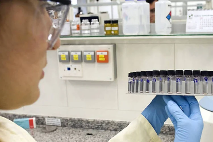 
	Bayer: o&nbsp;&uacute;nico produto &agrave; base de aldicarbe que tinha autoriza&ccedil;&atilde;o de uso no Brasil era o Temik 150, da empresa Bayer S/A
 (Divulgação)