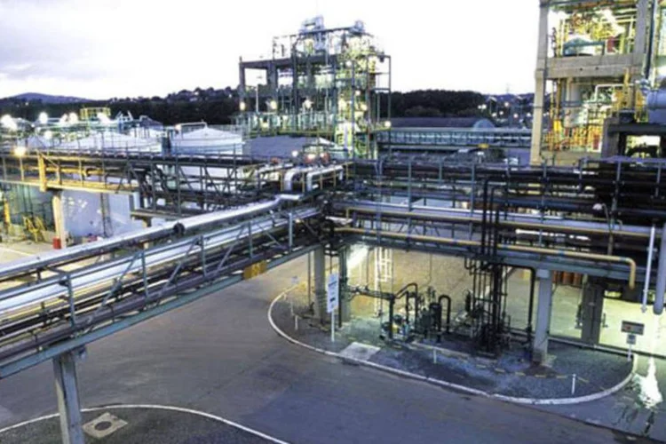 
	Bayer: &nbsp;lucro antes de juros, impostos, deprecia&ccedil;&atilde;o e amortiza&ccedil;&atilde;o (Ebitda) antes de itens especiais cresceu 11,6 por cento, a 2,74 bilh&otilde;es de euros
 (Divulgação)