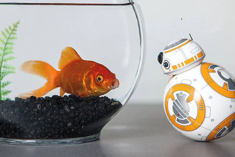 BB-8: robô pode ser controlado por aplicativo instalado no smartphone (Divulgação/Sphero)