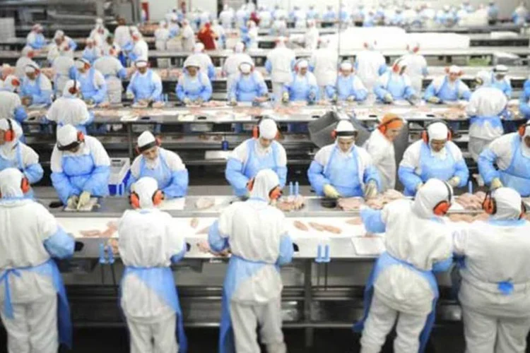 Big Frango: Lúcio Bolonha Funaro e operadores teriam oferecido um empréstimo de R$ 100 milhões na Caixa (Germano Lüders/EXAME.com)