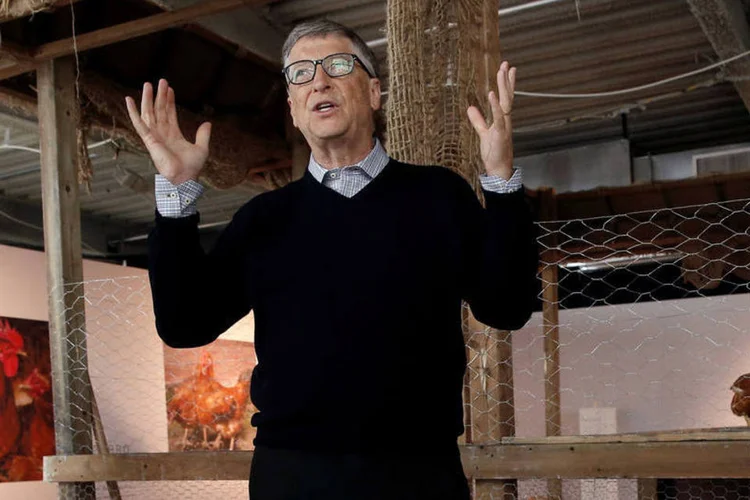 
	Bill Gates: o objetivo do bilion&aacute;rio &eacute; fazer com que 30% das fam&iacute;lias rurais da &Aacute;frica subsaariana criem ra&ccedil;as melhoradas de frangos vacinados
 (Mike Segar / Reuters)
