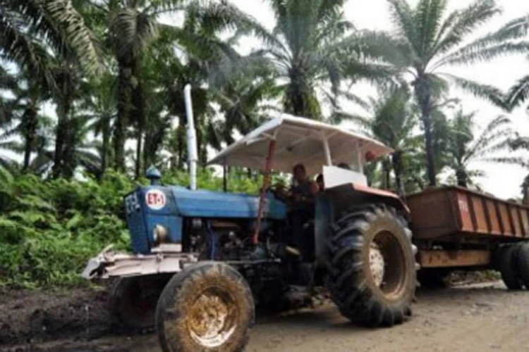 Produção de biocombustível nas Filipinas: ONGs compararam a situação atual com o colonialismo entre os séculos XVI e XIX (.)