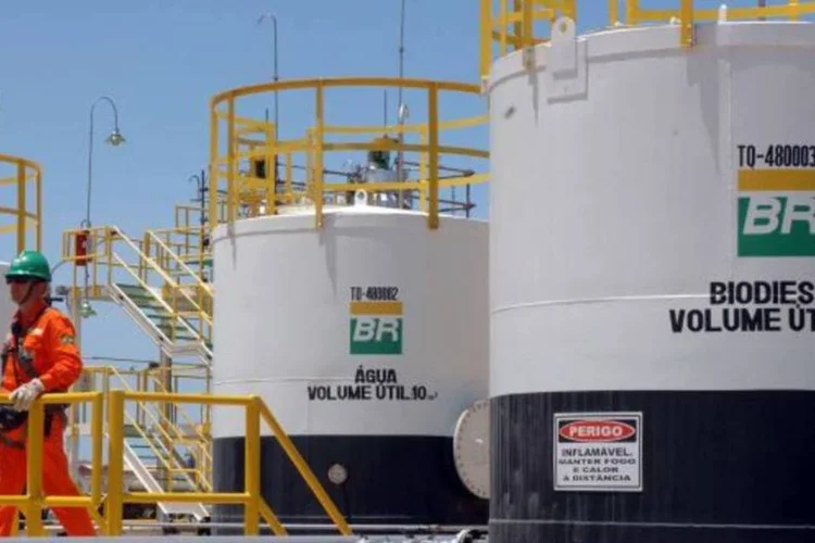 
	Petrobras: medida provocou preju&iacute;zo em empresas, levou a demiss&otilde;es de profissionais e est&aacute; desmantelando a cadeia de neg&oacute;cios de prospec&ccedil;&atilde;o
 (Bruno Veiga/Divulgação/EXAME)