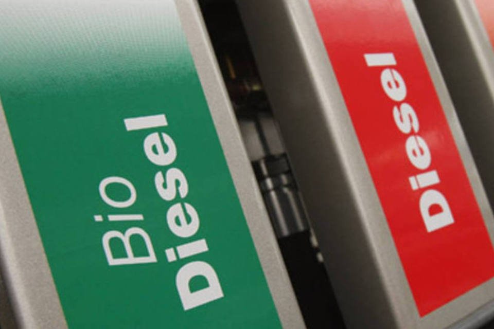 Leilão de biodiesel negocia 646 milhões de litros