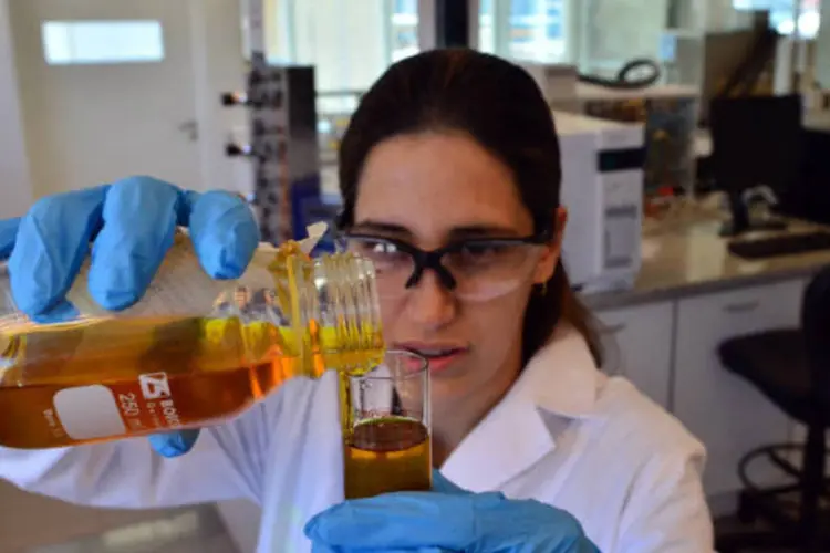 
	T&eacute;cnica testa amostra de biodiesel:&nbsp;laborat&oacute;rio servir&aacute; para estudos de docentes e pesquisadores da universidade
 (Diego Giudice/Bloomberg)