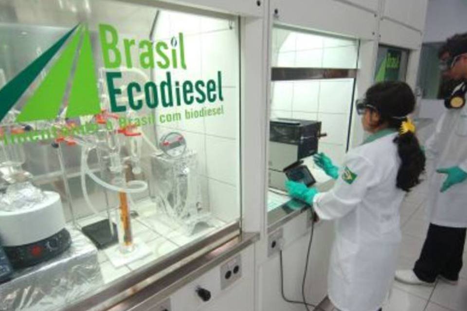 Petrobras e Galp investirão US$ 530 mi em biodiesel