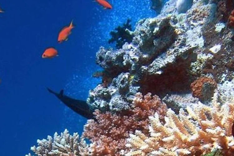 O custo para a AL e para o Caribe pode ser equivalente a 137% do atual Produto Interno Bruto (PIB) da região, diz estudo (.)